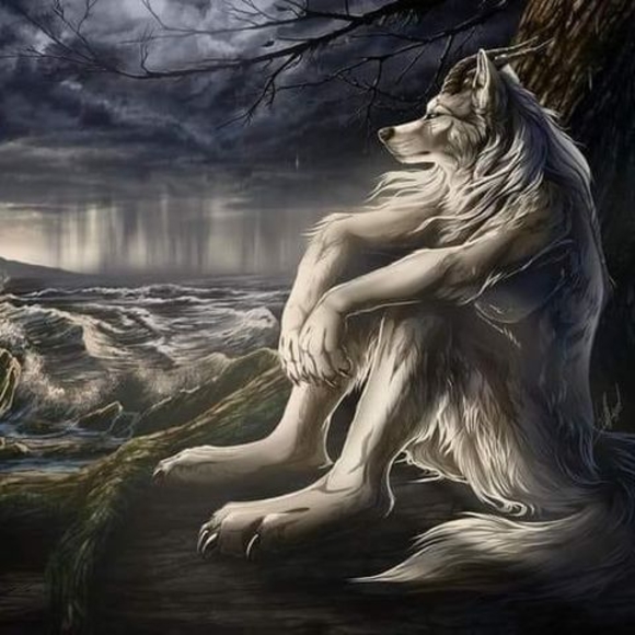 Meet your Posher, Akkharawin - Picture 1 of 1